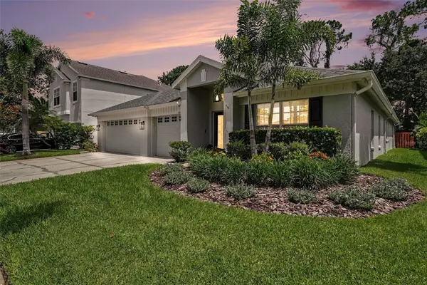 10617 WEYBRIDGE DR, Tampa, FL 33626