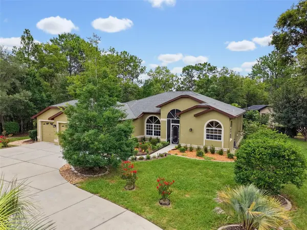 1 PLUMBAGO DR, Homosassa, FL 34446
