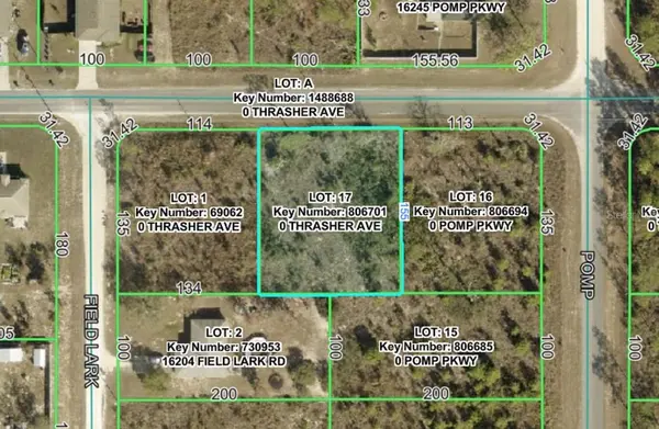 13101 THRASHER AVE, Weeki Wachee, FL 34614
