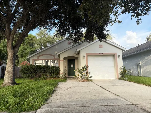 6608 NORTHHAVEN CT, Riverview, FL 33578