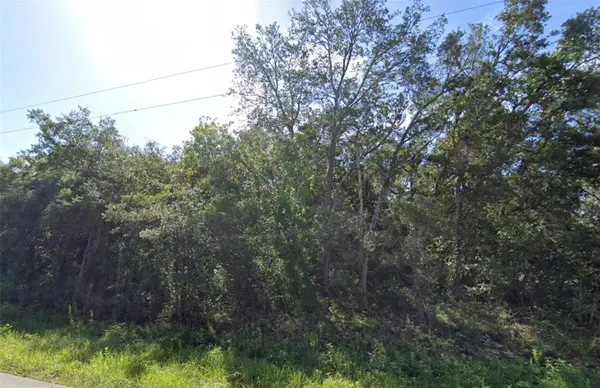 0 AKINS DR, Spring Hill, FL 34610