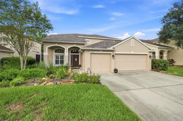 11507 BELLE HAVEN DR, New Port Richey, FL 34654