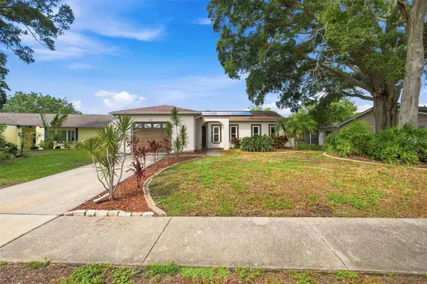 2460 BEACON GROVES BLVD, Palm Harbor, FL 34683