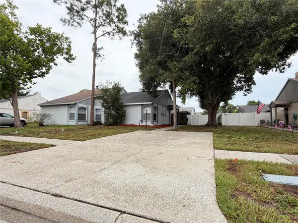 7705 CITRONELLA CT, Tampa, FL 33625
