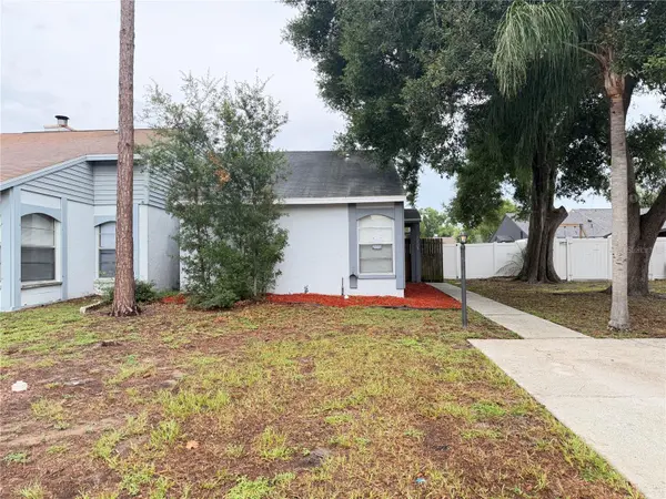 7705 CITRONELLA CT, Tampa, FL 33625
