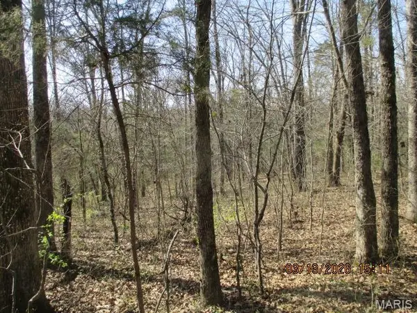 Lot #7 PCR 910, Perryville, MO 63775
