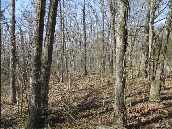 Lot # 8 PCR 910, Perryville, MO 63775