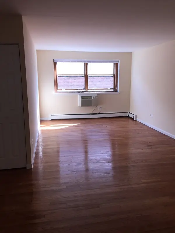 1025 W HOLLYWOOD AVE #514, Chicago, IL 60660
