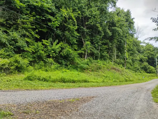 1 Countryside Dr, Dover, TN 37058
