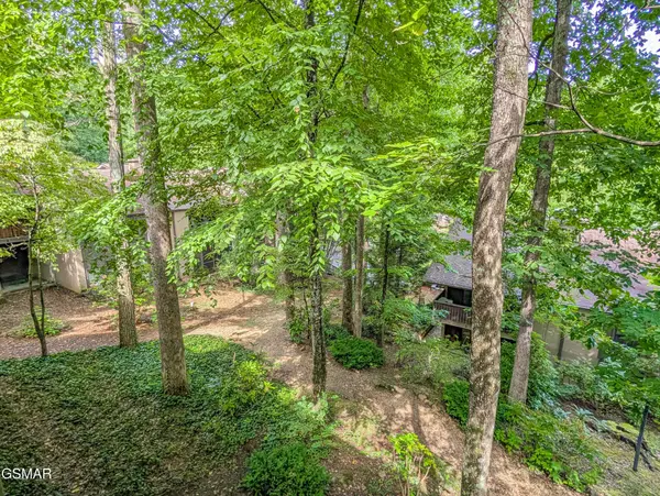 1235 Ski Mountain Road #610, Gatlinburg, TN 37738
