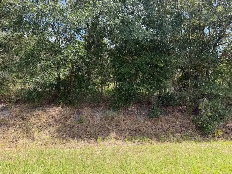 21971 NW 260TH ST, Okeechobee, FL 34972