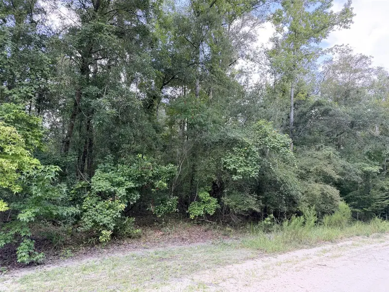 0 NE 756 ST, Old Town, FL 32680