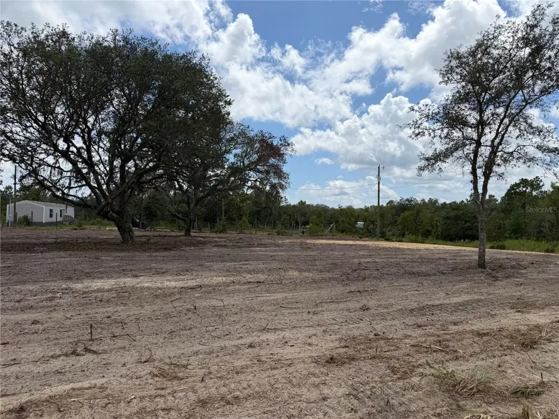 TBD NE 88TH LN, Bronson, FL 32621