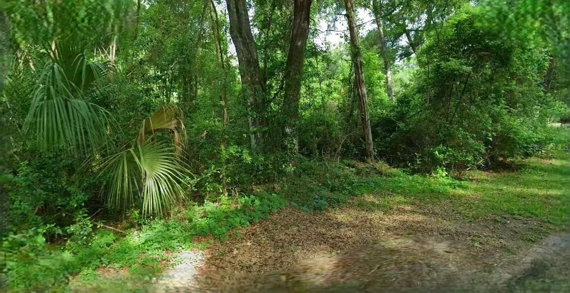 4226 N FOREST LAKE DR, Hernando, FL 34442