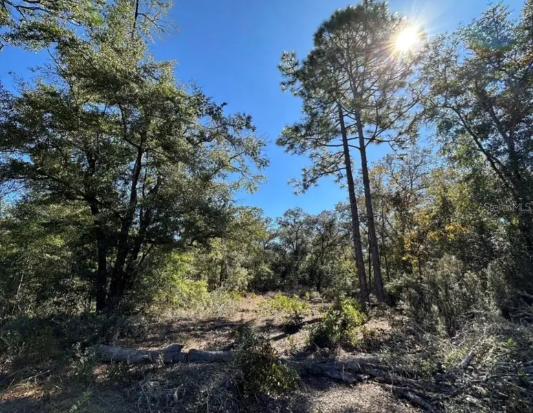 TBD NE 86TH ST, Bronson, FL 32621