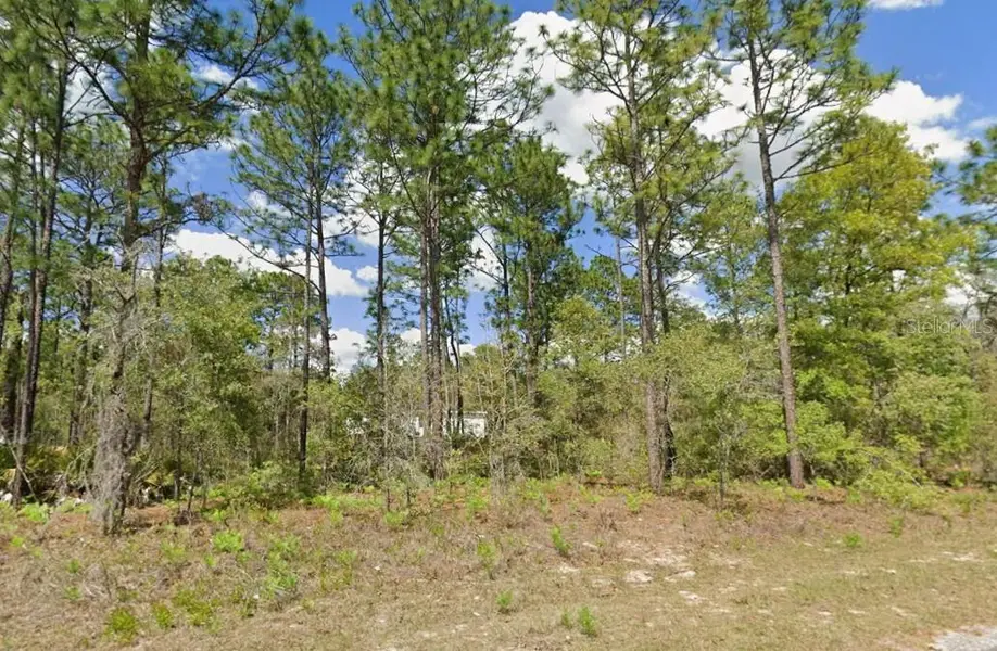 2175 W GALAXY LN, Citrus Springs, FL 34434