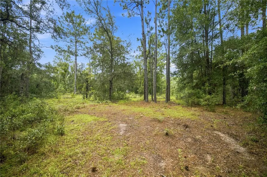 21350 SE 66TH ST, Morriston, FL 32668