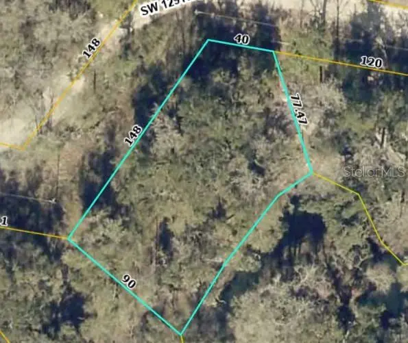 TBD2 SW 129TH BLVD, Webster, FL 33597