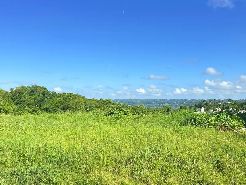 CARR 119 km 27.9 int BO HOYAMALA, San Sebastian, PR 00685