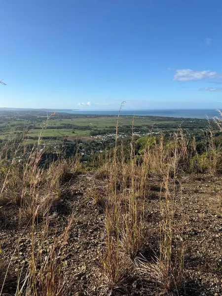 Carr. 402, Km. 5.0 BARRIO PIÑALES, Anasco, PR 00610