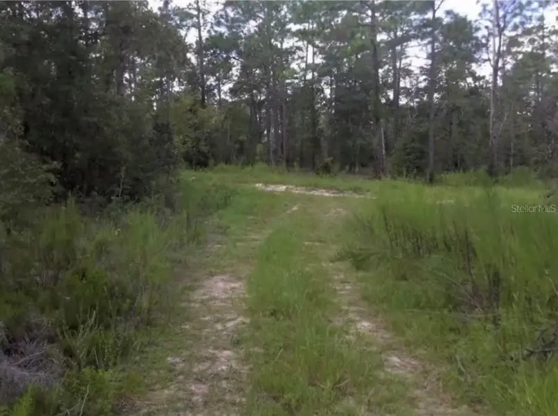 25TH PL LOT 16 SW 25TH PL, Ocala, FL 34481