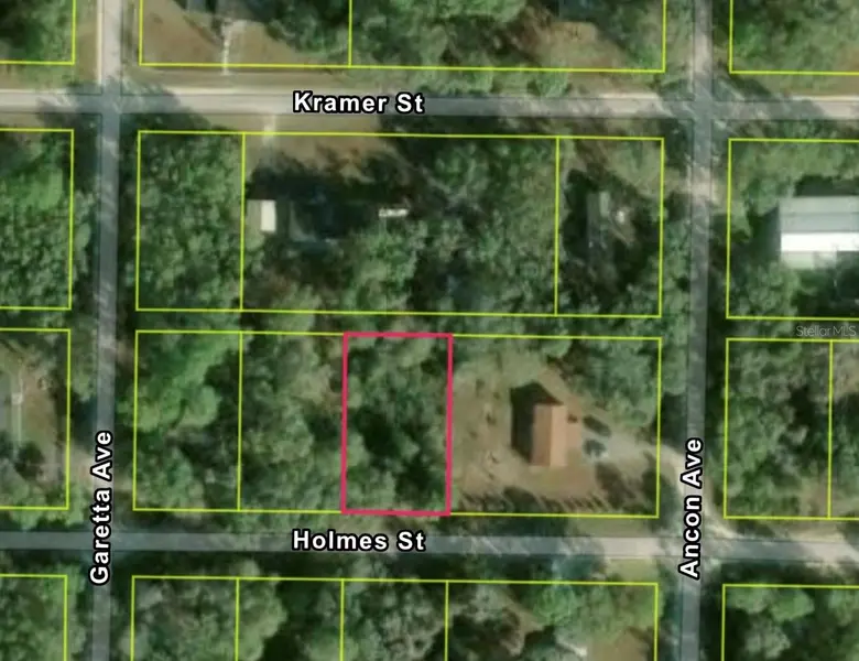 35415 HOLMES ST, Webster, FL 33597
