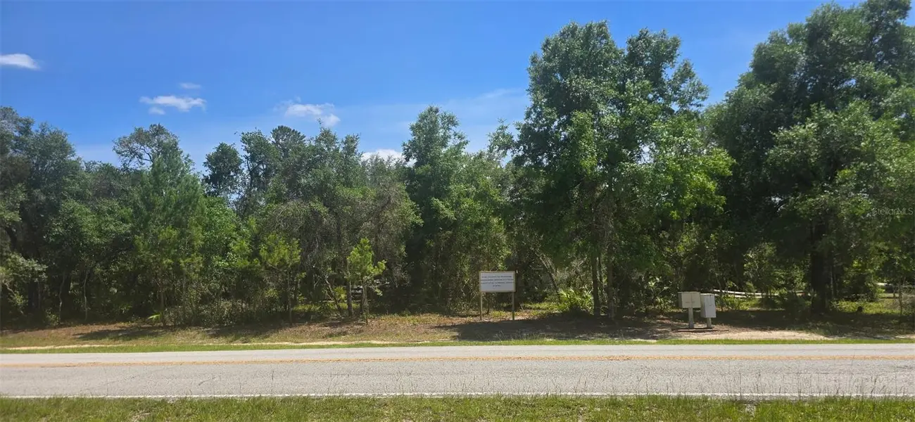 NE 236TH CT, Fort Mc Coy, FL 32134