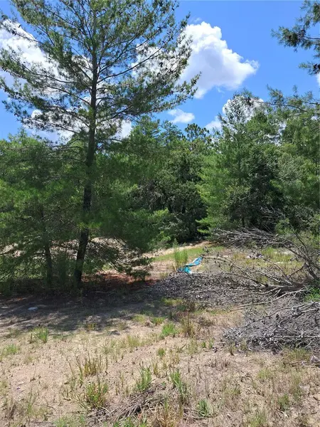 0 SW 65 AVE RD, Ocala, FL 34473