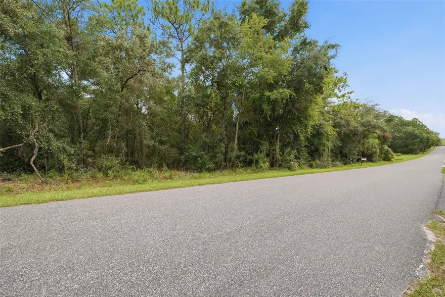 1295 E RAY ST, Hernando, FL 34442