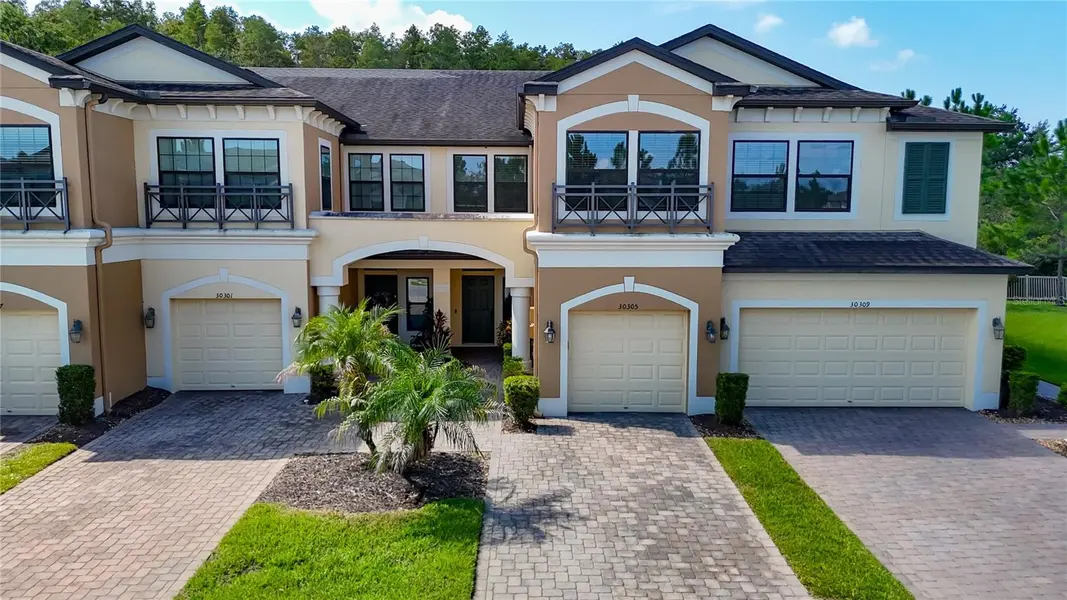 30305 SOUTHWELL LN, Wesley Chapel, FL 33543