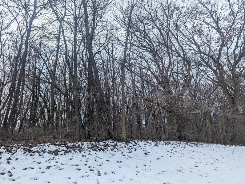 1711 Cedar LN, Spring Grove, IL 60081