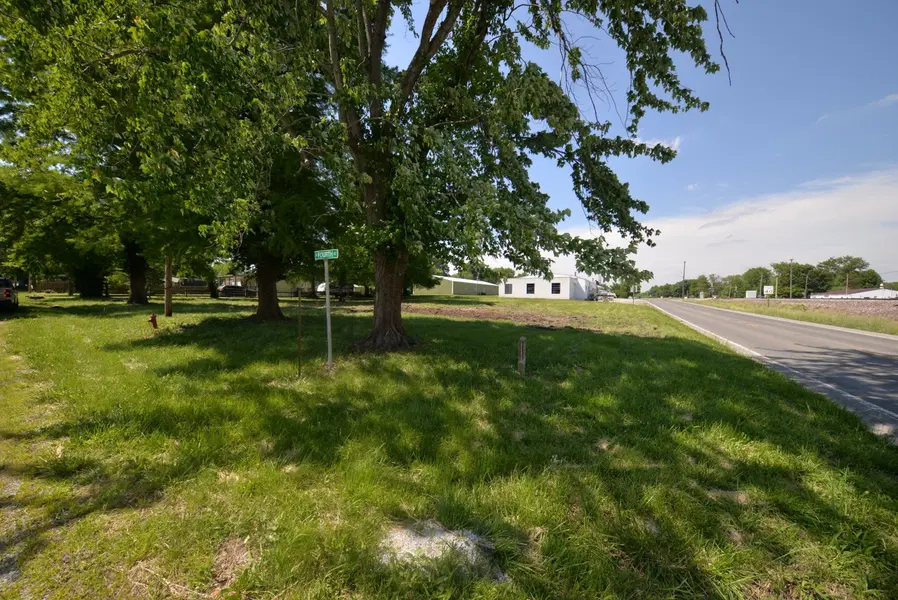 Lots 14 - 16 W 4th ST, Bonnie, IL 62816