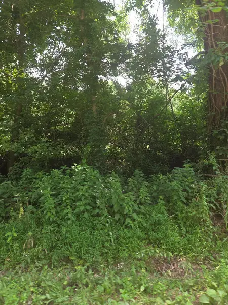 206 Old Villa Ridge RD, Mounds, IL 62964