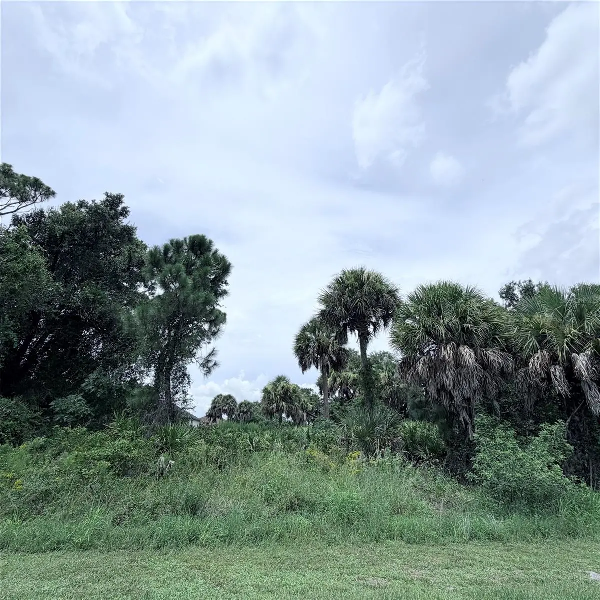 TORINO ST, North Port, FL 34287