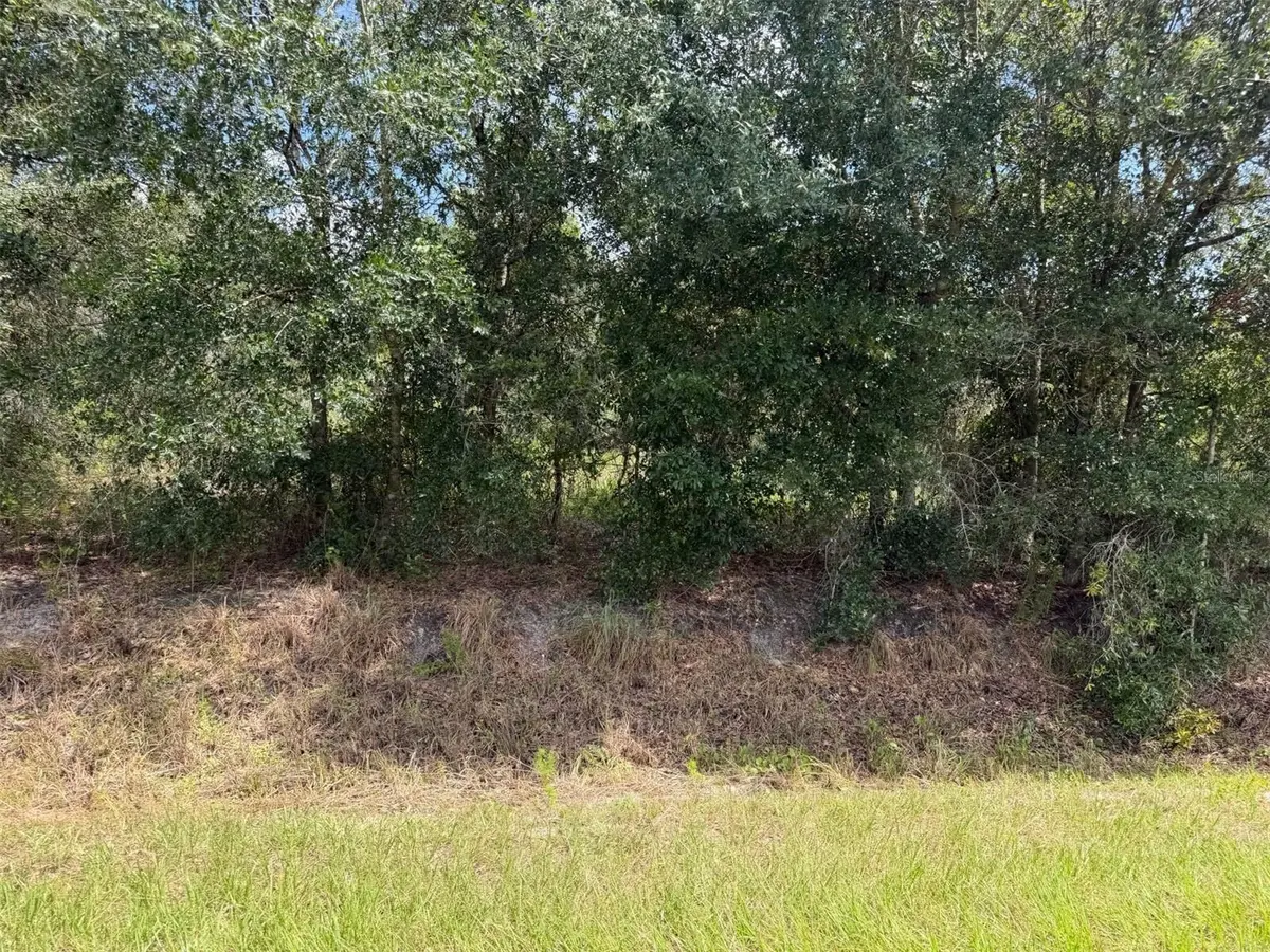 21971 NW 260TH ST, Okeechobee, FL 34972