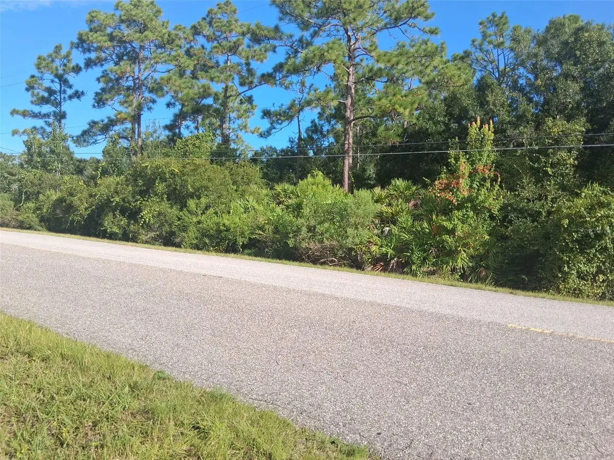 STARRY ST, Orlando, FL 32833