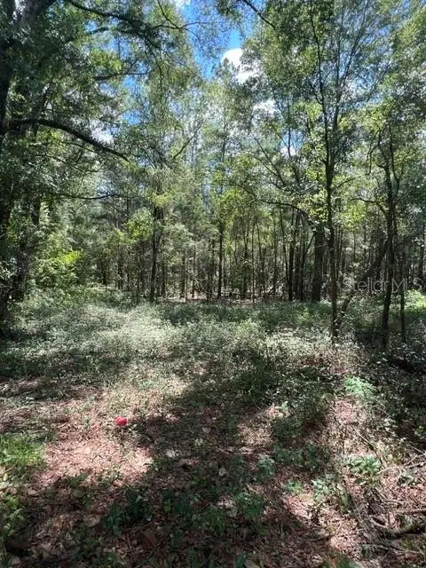 16958 NW US HWY 441 HWY NW, High Springs, FL 32643