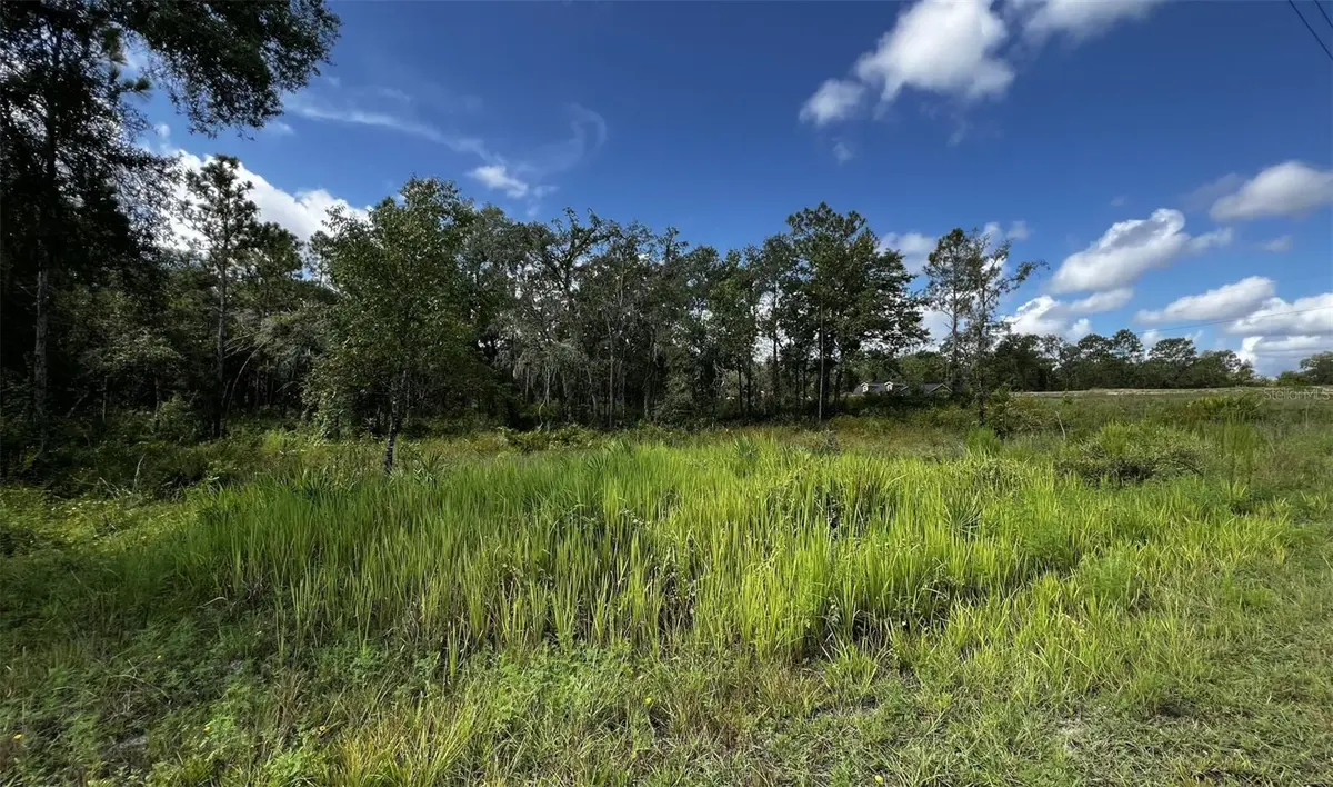 7398 WAGERS DR, Webster, FL 33597