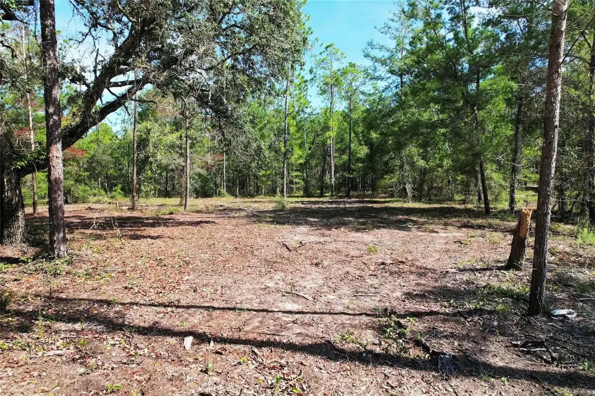 SE 6TH LN, Williston, FL 32696