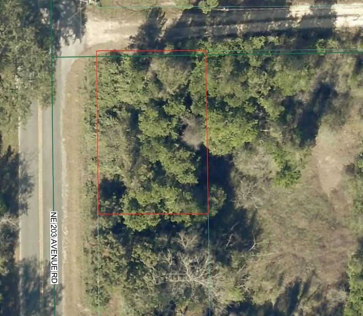 TBD NE 143 LN, Fort Mc Coy, FL 32134
