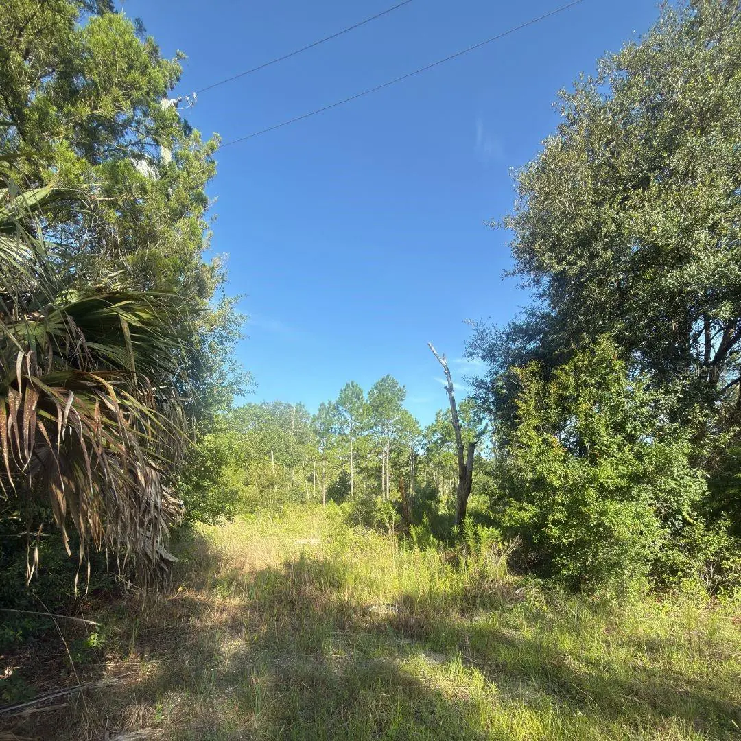 19037 PARAKEET RD, Brooksville, FL 34614