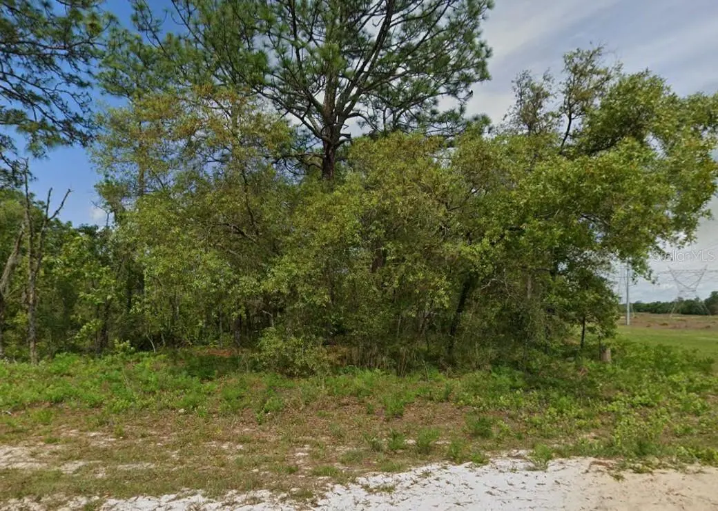 6895 N VARSITY AVE, Citrus Springs, FL 34434
