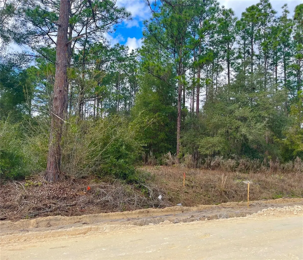 0 SW 152ND TER, Ocala, FL 34481