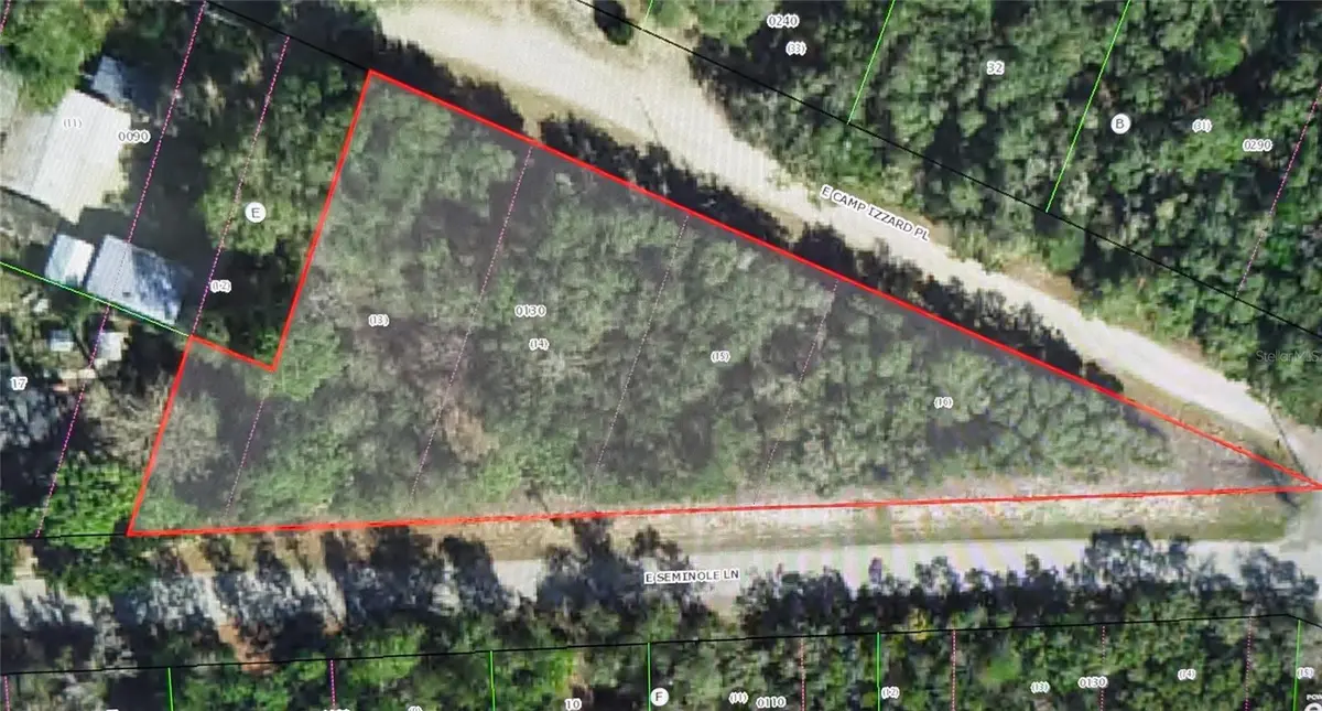 4114 E CAMP IZZARD PL, Dunnellon, FL 34434