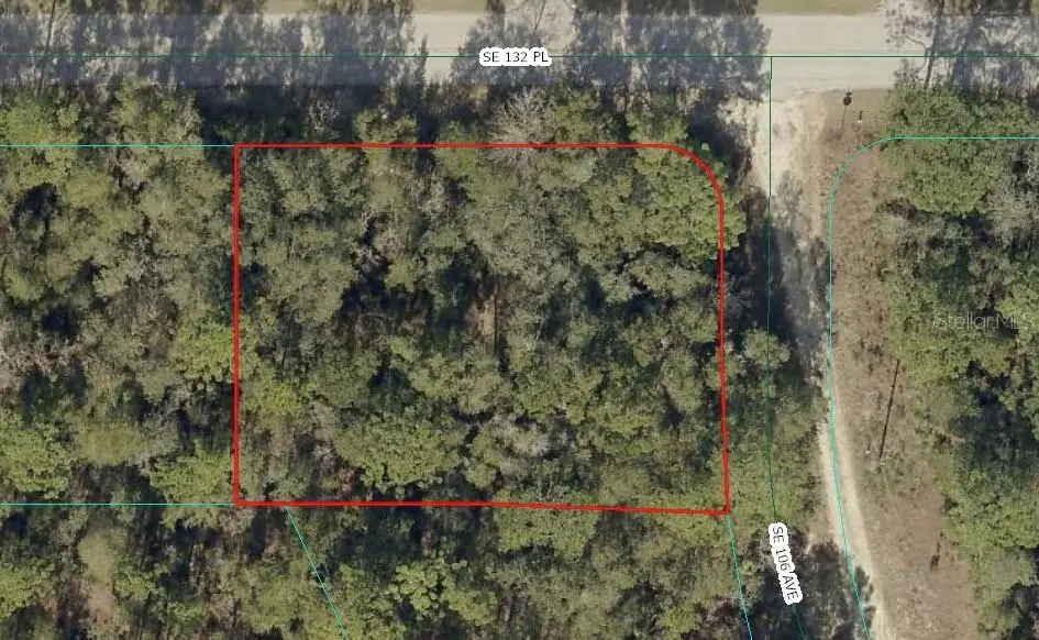 00 SE 132ND PL, Ocklawaha, FL 32179