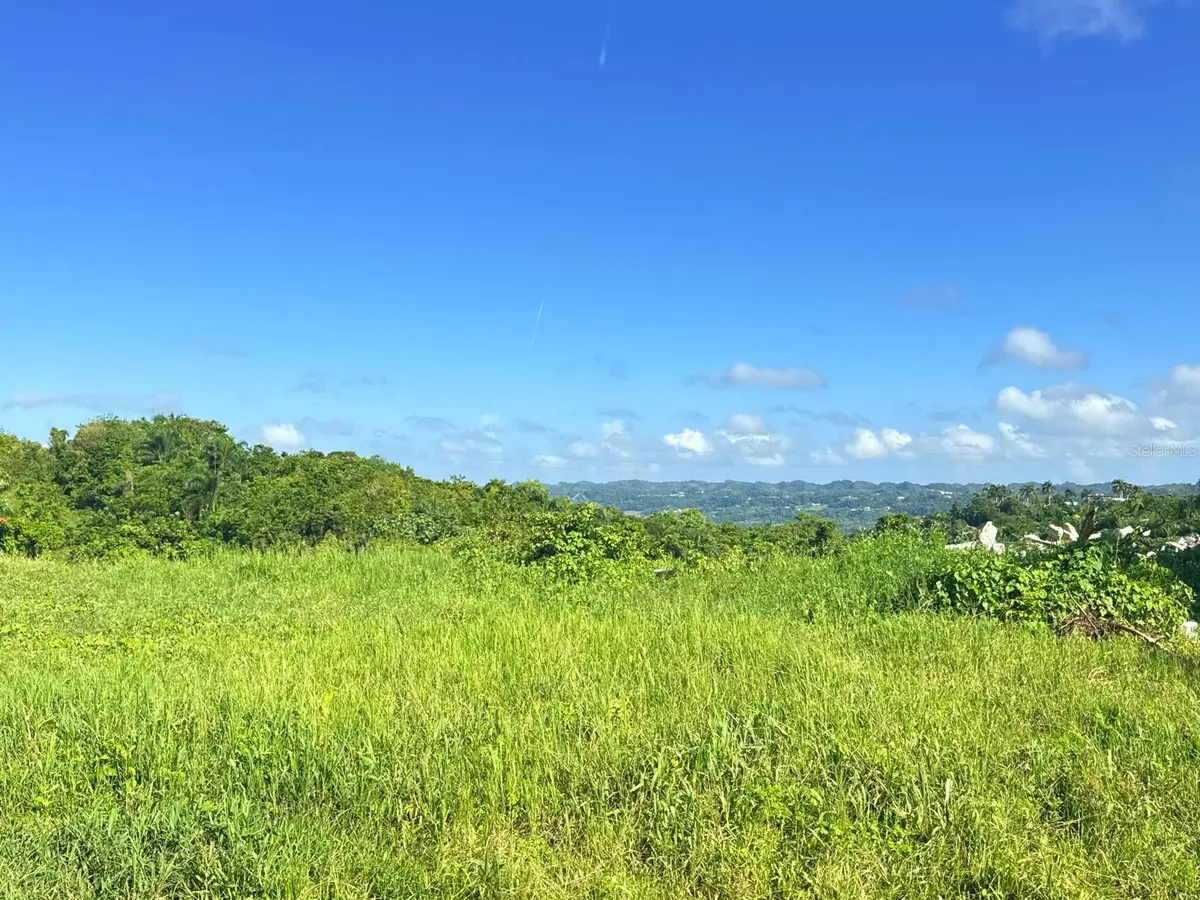 CARR 119 km 27.9 int BO HOYAMALA, San Sebastian, PR 00685