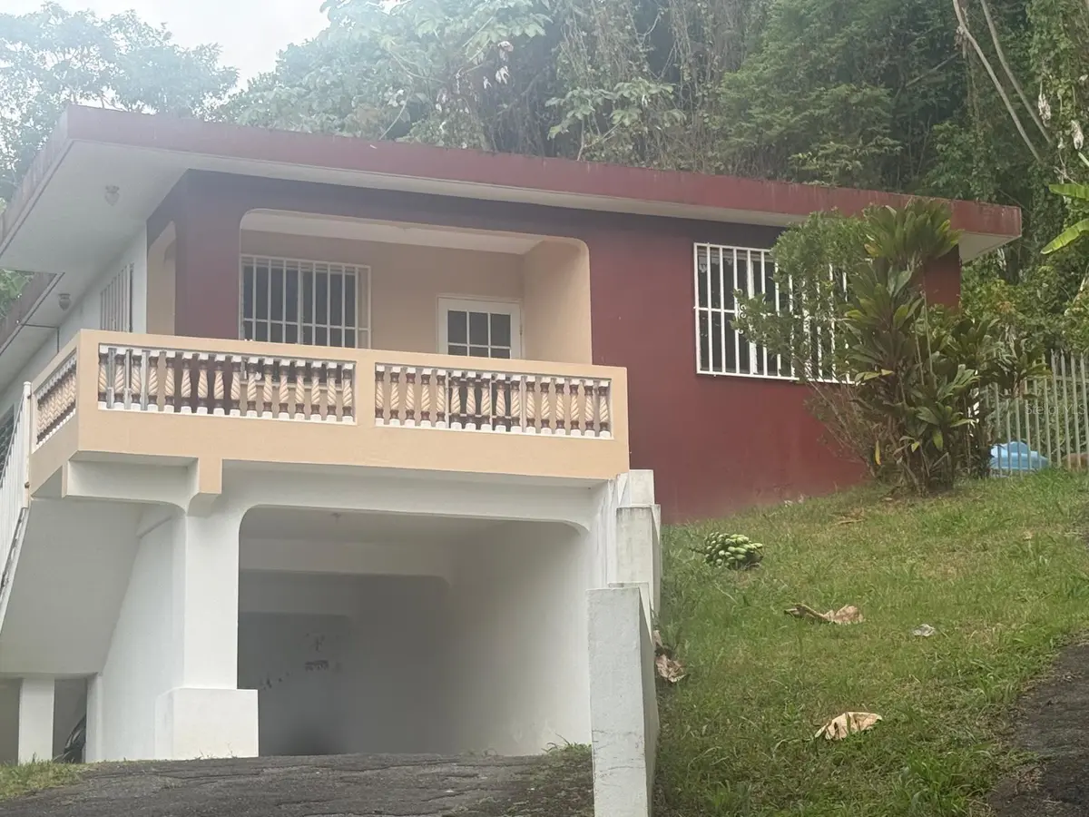 BARRIO SANTA OLAYA SECTOR COLLORES, Bayamon, PR 00956