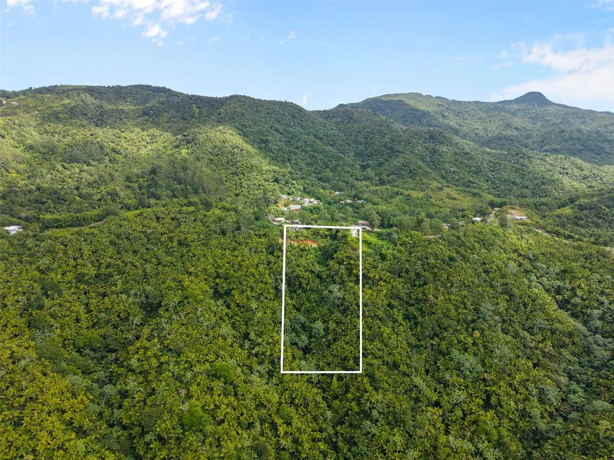 Carr 149 FINCA VILLA AZUL, Juana Diaz, PR 00795