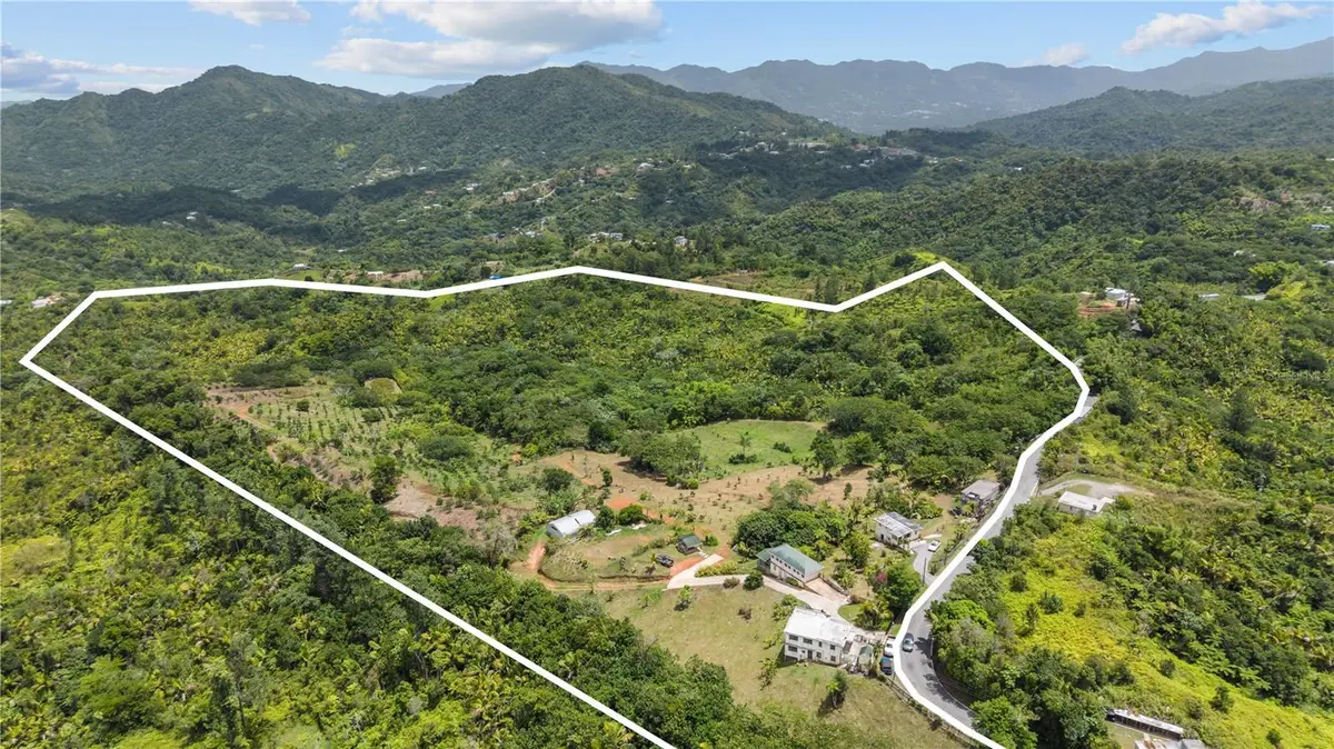 Carretera 143 KM 5.7, Utuado, PR 00641