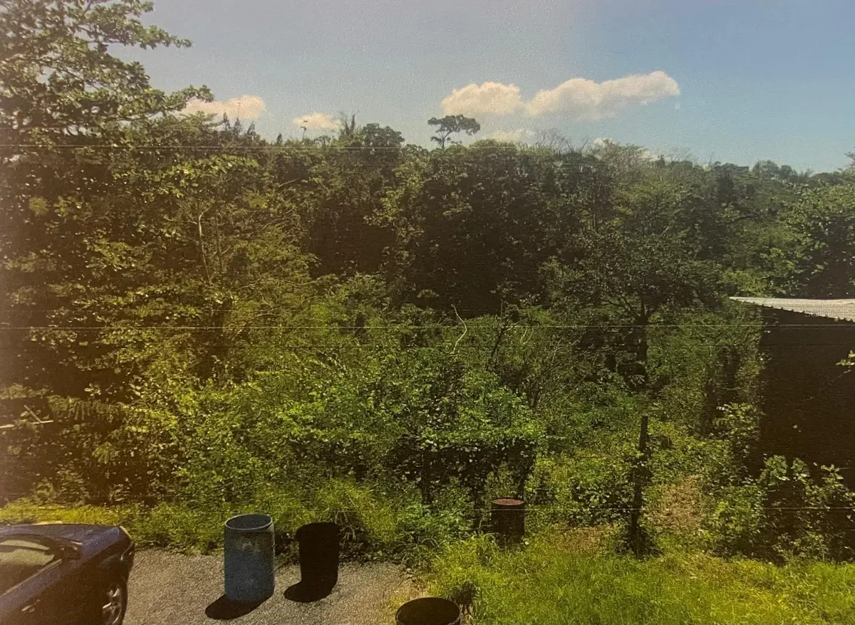 BO Jaguitas PR 343 KM 3.5 INT, Hormigueros, PR 00660